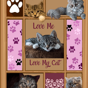 3D Cat Fleecy Blanket 50x60 in