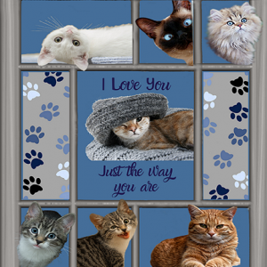 3D Cat Fleecy Blanket Blue-50x60 in