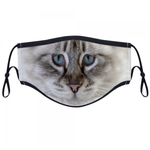Adult Cat Face Mask