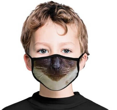 Kids Siamese Cat Face Mask