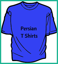 cat lovers,crazy cat people,cat apparel,cat t shirts,cat hoodies,persian cat t shirts,persian cat mugs